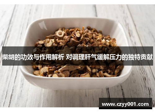 柴胡的功效与作用解析 对调理肝气缓解压力的独特贡献